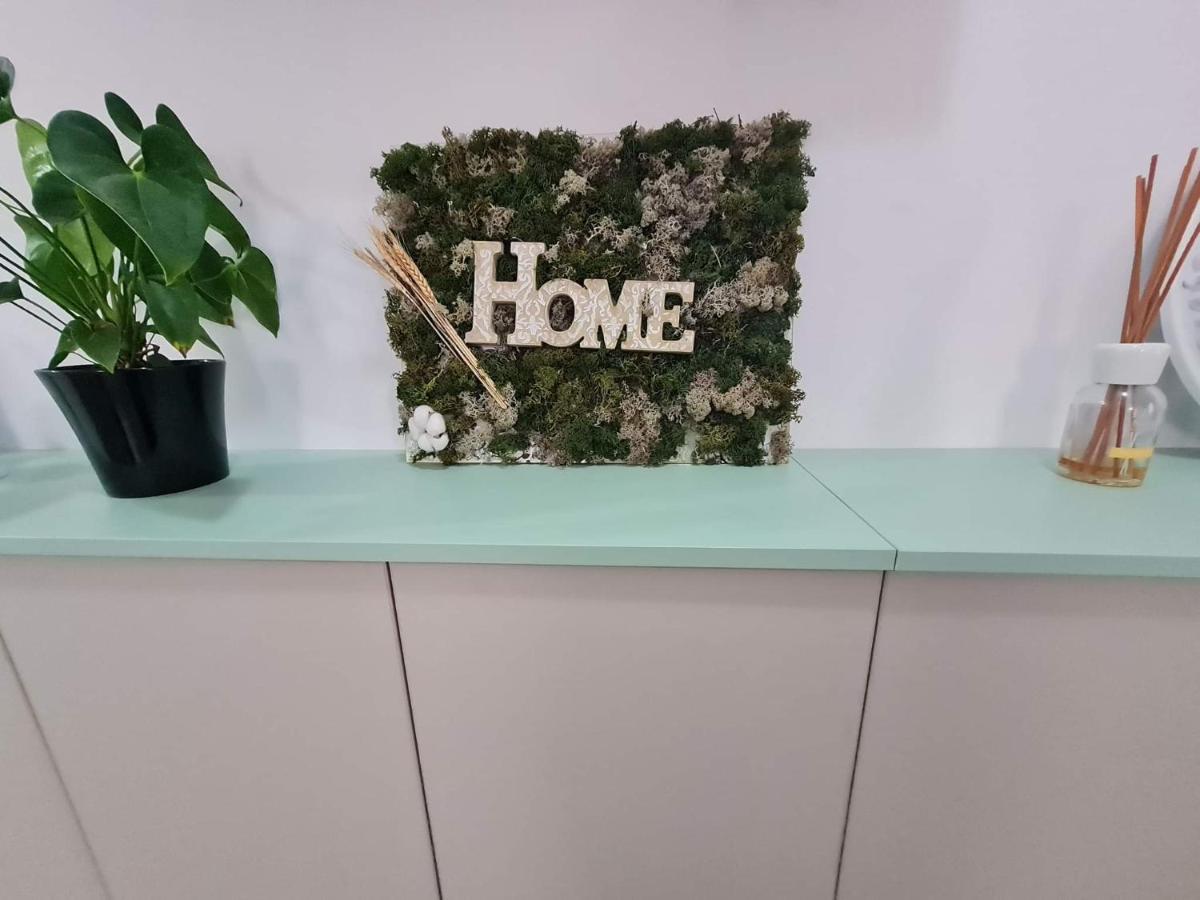 Sweet Home Sfintu Ilie Экстерьер фото